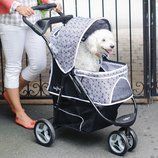 Promenade Pet Stroller