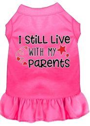 Still Live with my Parents Screen Print Dog Dress Bright Pink (size: L (14))