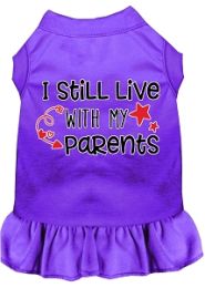 Still Live with my Parents Screen Print Dog Dress Purple (size: L (14))