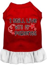 Still Live with my Parents Screen Print Dog Dress Red with White (size: L (14))
