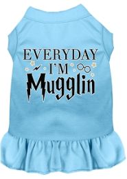 Everyday I'm Mugglin Screen Print Dog Dress Baby Blue (size: L (14))