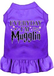Everyday I'm Mugglin Screen Print Dog Dress Purple (size: L (14))