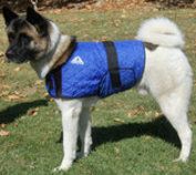 HyperKewl Dog Cooling Vest (size: XSmall)
