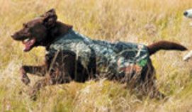 Rambo Camouflage Dog Blamket; 100g (size: Medium)