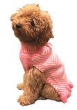 Stripes & Riffles Dog Sweater (size: XSmall)