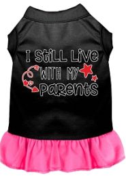 Still Live with my Parents Screen Print Dog Dress Black with Bright Pink (size: XS (8))