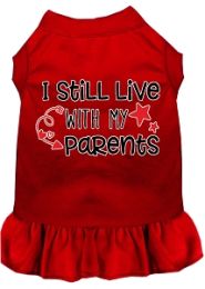 Still Live with my Parents Screen Print Dog Dress Red (size: M (12))